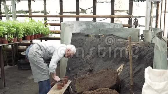 一位年长的男园丁用花盆里的肥沃土壤在温室里种植新植物视频的预览图