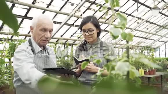 几个园丁检查并保存温室中植物的记录农业农业和园艺视频的预览图