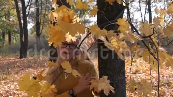 漂亮的金发少女躲在枫树后面视频的预览图
