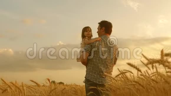 农夫把一个小女儿抱在怀里穿过一片麦田快乐的孩子和父亲正在玩耍视频的预览图