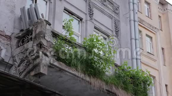 草从建筑物中生长视频的预览图
