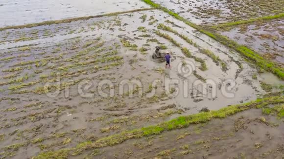 农民用手扶拖拉机在稻田里耕作准备地区种植水稻视频的预览图