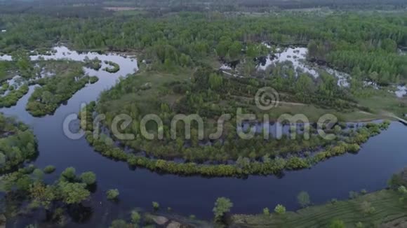蜿蜒河流的森林视频的预览图