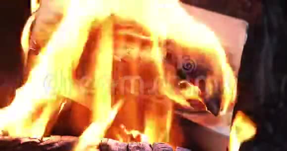 书在壁炉的火焰中燃烧视频的预览图