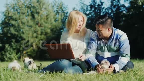 年轻夫妇在后院用笔记本电脑工作下一个小狗视频的预览图