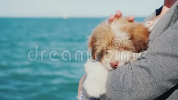 一个女人在大海的背景下抱着一只小狗视频的预览图