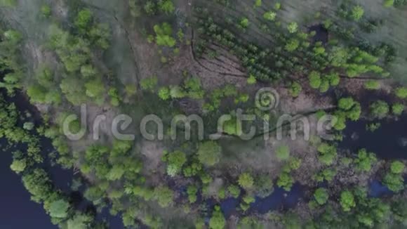 森林茂密有一条蜿蜒的河流视频的预览图