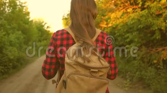 自由女孩旅行者带着背包在树林里散步远足的女人在森林里散步快乐的徒步旅行者视频的预览图