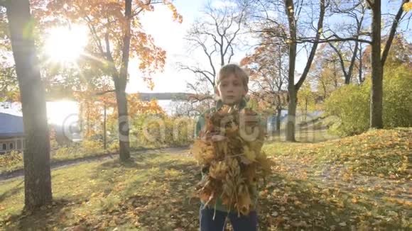 快乐的小帅哥向公园扔秋叶视频的预览图