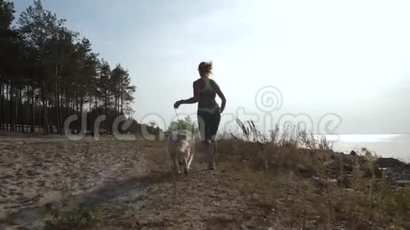 女运动员带着狗沿着海岸线奔跑视频的预览图