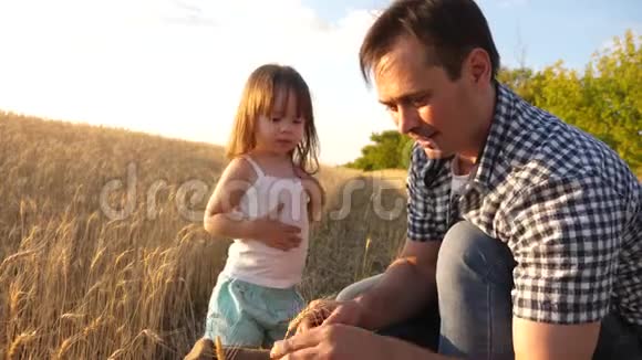 父亲农夫和小儿子女儿在田里玩一个孩子手中的小麦农业概念爸爸是视频的预览图