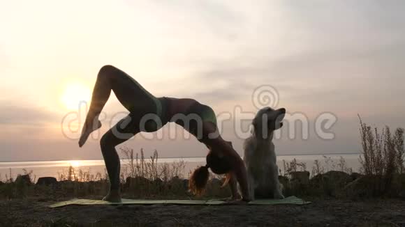 在瑜伽运动中做桥牌姿势的运动女人视频的预览图