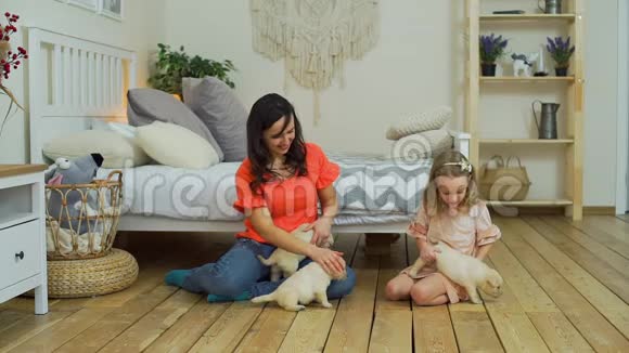女人和女儿玩捉迷藏的小狗视频的预览图