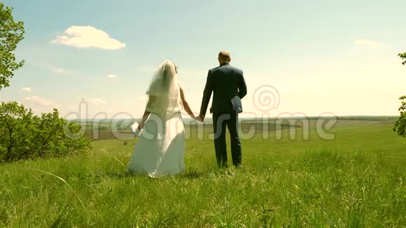 一对相爱的夫妇牵着手欣赏着绿色草地上美丽的天空快乐的家庭在夏天旅行视频的预览图