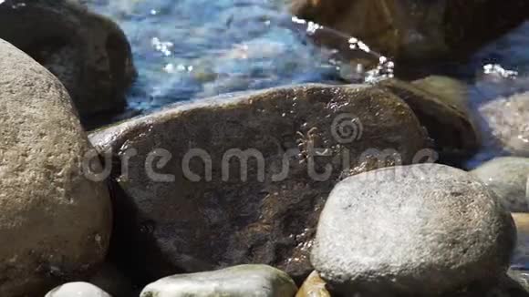 海边岩石海岸上的海蟹视频的预览图