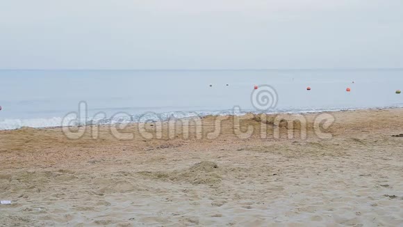 一男一女牵着手沿着海滨散步视频的预览图