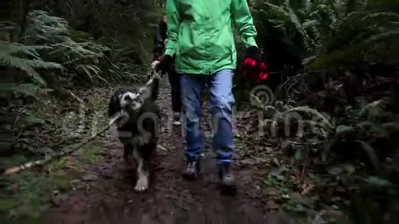 中年白种人女人和她的狗在森林小径上散步高清24FPS视频的预览图