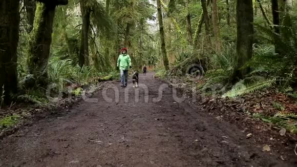 中年白种人女人和她的狗在森林小径上散步高清24FPS视频的预览图