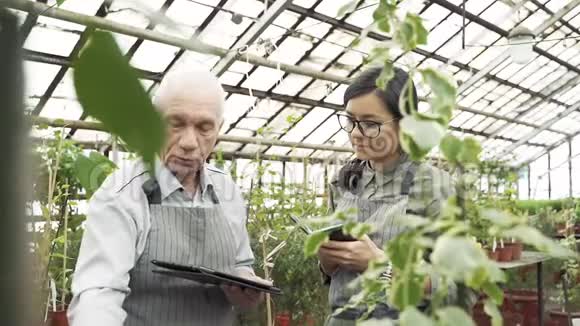 一位年长的男园丁向一位年轻的专家解释了种植和照料植物的特点视频的预览图
