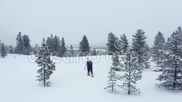 游客在冬季漫步林中空中冬季体育活动游客徒步旅行雪冬森林雪视频的预览图