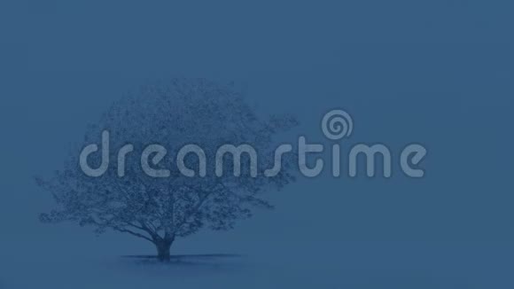 雪域中的树木视频的预览图