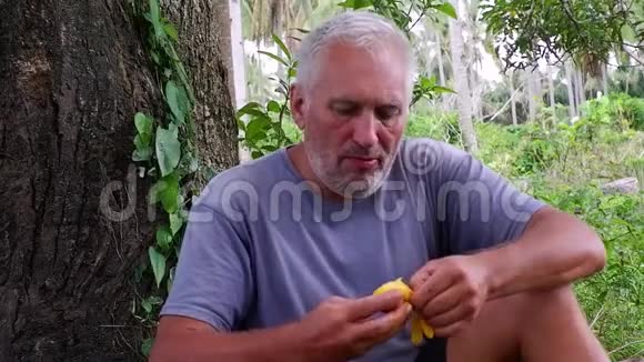 一个男人坐在树下一边吃着成熟的小芒果视频的预览图