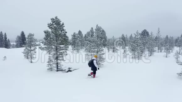 游客在冬季漫步林中空中冬季体育活动游客徒步旅行雪冬森林雪视频的预览图