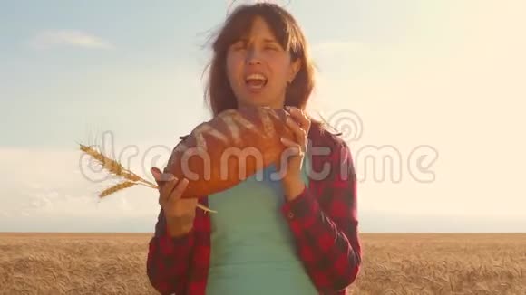 一个快乐的女人手里拿着一大堆小麦面包覆盖着一片麦田新鲜的黑麦酥脆的面包握在手中视频的预览图