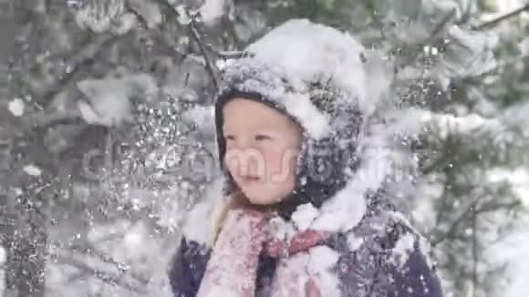一个美丽的小女孩在冬天的森林里的雪景特写视频的预览图