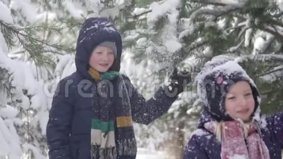 孩子们在白雪覆盖的电子森林里散步视频的预览图