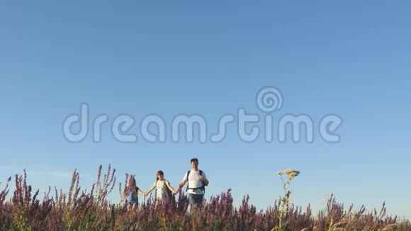 旅行者手牵手游客的团队合作游客带着背包穿过草地游客家庭视频的预览图
