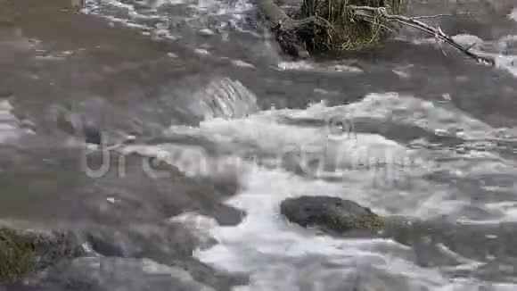DAkAta河流经立陶宛的Neris区域公园视频的预览图