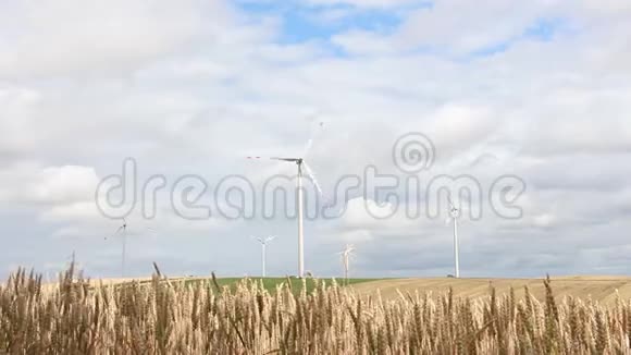 波兰的风车视频的预览图