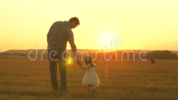 孩子和父亲在草地上摘花小女儿和爸爸牵着手在草地上散步子女视频的预览图