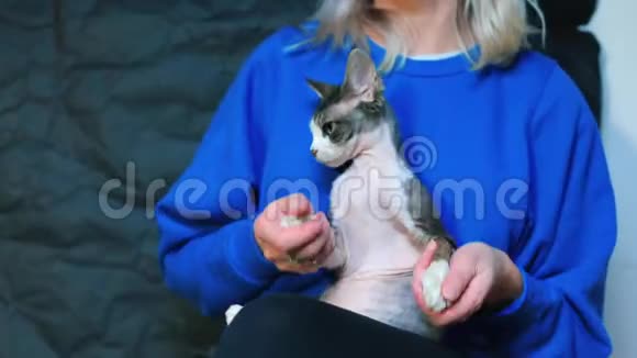 猫在主人的怀里跳舞视频的预览图