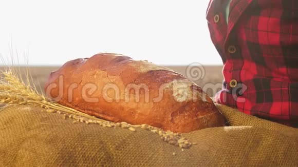 贝克把面包放在手掌上女人手里拿着一块麦地上的麦饼美味的面包片视频的预览图