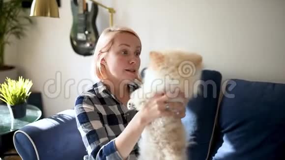 年轻女人和两个月大的波美拉尼亚斯皮茨小狗玩可爱的毛茸茸的小狗视频的预览图