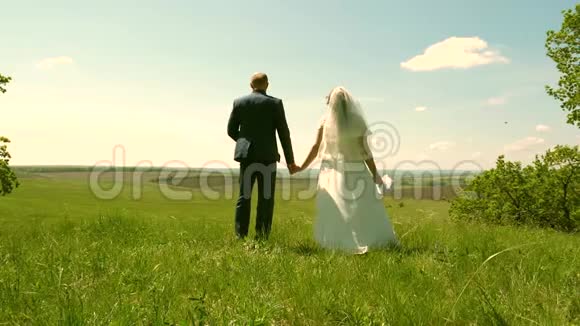 一对相爱的夫妇牵着手欣赏着绿色草地上美丽的天空快乐的家庭在夏天旅行视频的预览图
