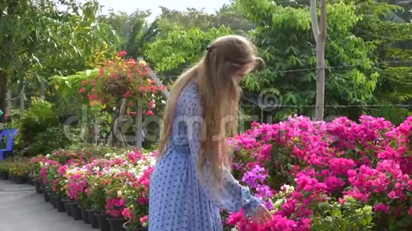 穿着蓝色衣服的女孩在花市外选择粉红维尔花视频的预览图