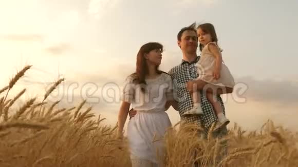 农夫爸爸和妈妈和女儿在麦田里散步孩子和父母在玩幸福的家庭牵手视频的预览图