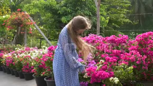 穿着蓝色衣服的女孩在花市外选择粉红维尔花视频的预览图