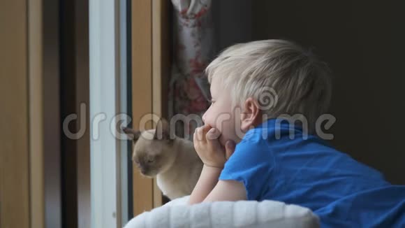 呆在家里预防检疫冠状病毒大流行四岁男孩透过窗户看不到视频的预览图