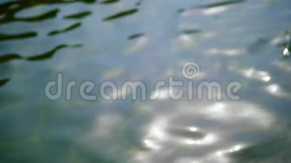 特写池中绿松石水照在阳光下模糊的焦点水面上明亮的倒影夏日炎炎视频的预览图