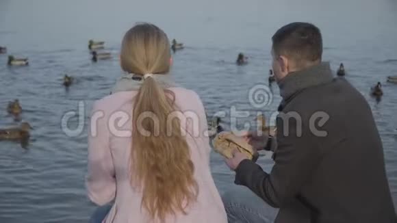 回到欢乐的高加索夫妇在河岸上喂鸭子和聊天的视野坐在岸上的成年男女视频的预览图