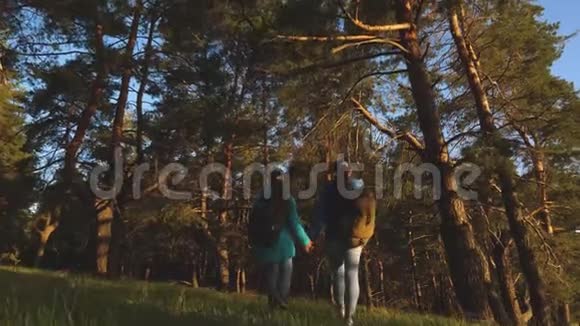 自由女旅行者在森林中旅行一个在松林里徒步旅行的女孩旅游者享受生活和自然假期冒险视频的预览图