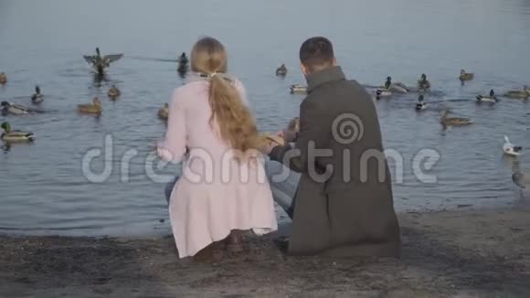 一对身着优雅服装的成年白人男女坐在河岸上为鸭子扔面包积极结婚视频的预览图