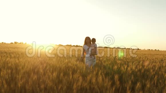 幸福家庭和童年的概念宝贝抱着妈妈在田里玩着带着麦子笑着快乐视频的预览图