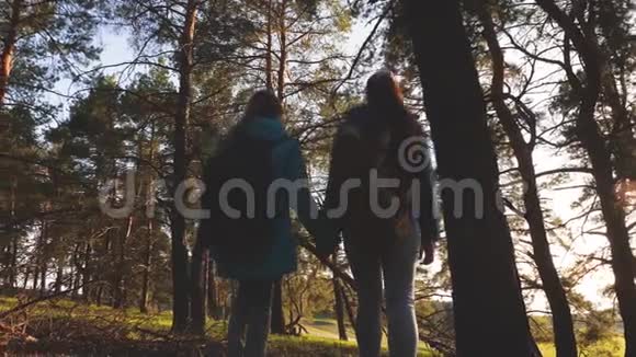 松林中的徒步旅行者女孩游客享受生活和自然自由女旅行者在森林里旅行假期视频的预览图