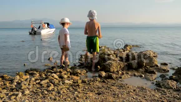 两个快乐的白种人孩子兄弟一起玩把石头扔进海里小兄弟在户外玩耍视频的预览图