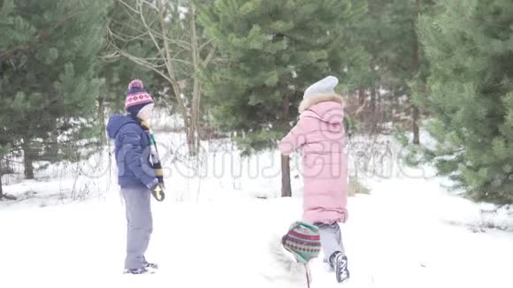 孩子们在冬天的森林里玩雪球视频的预览图